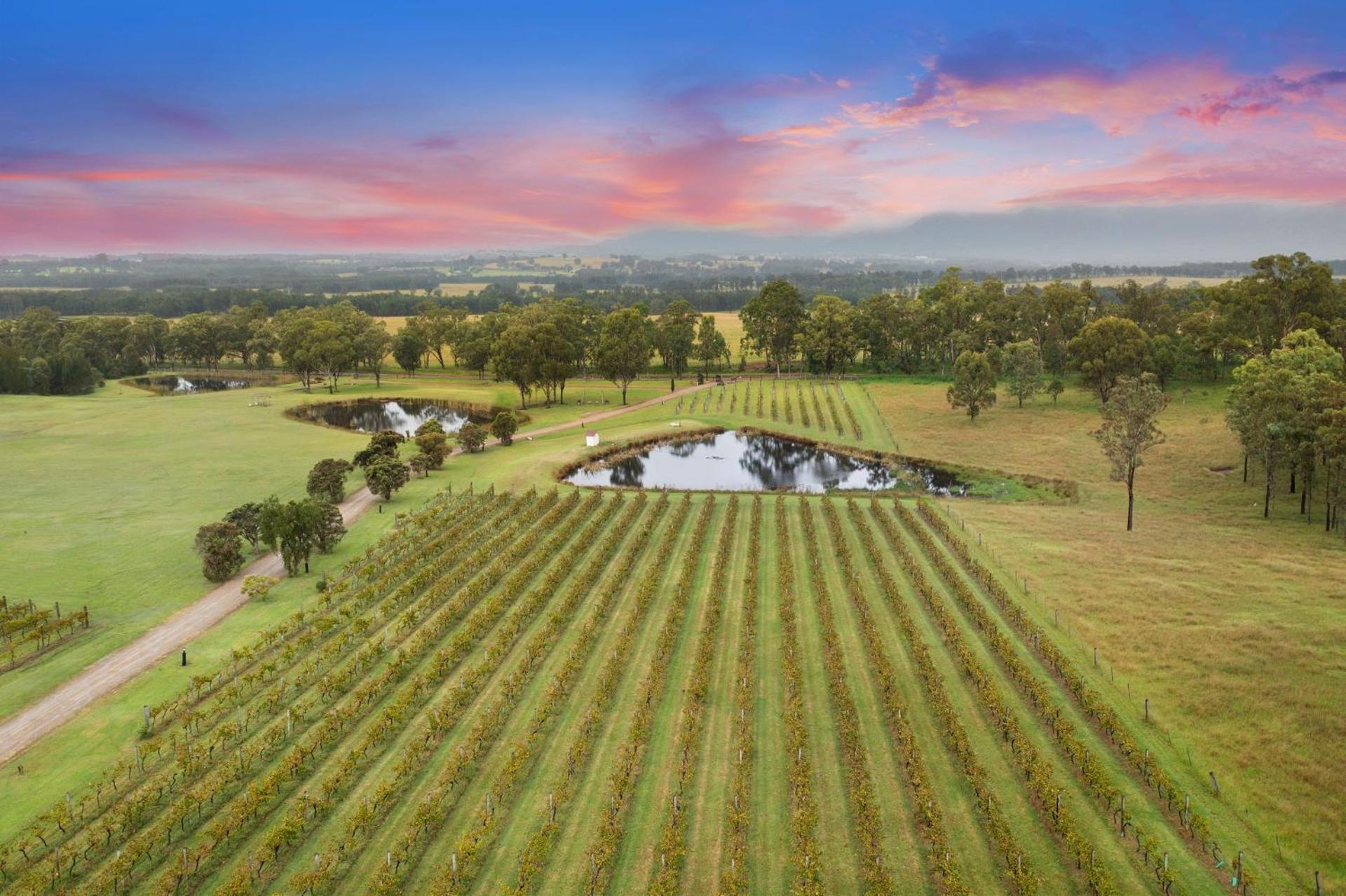 Bracken Ridge Vineyard The Entire Estate Rothbury Eksteriør billede