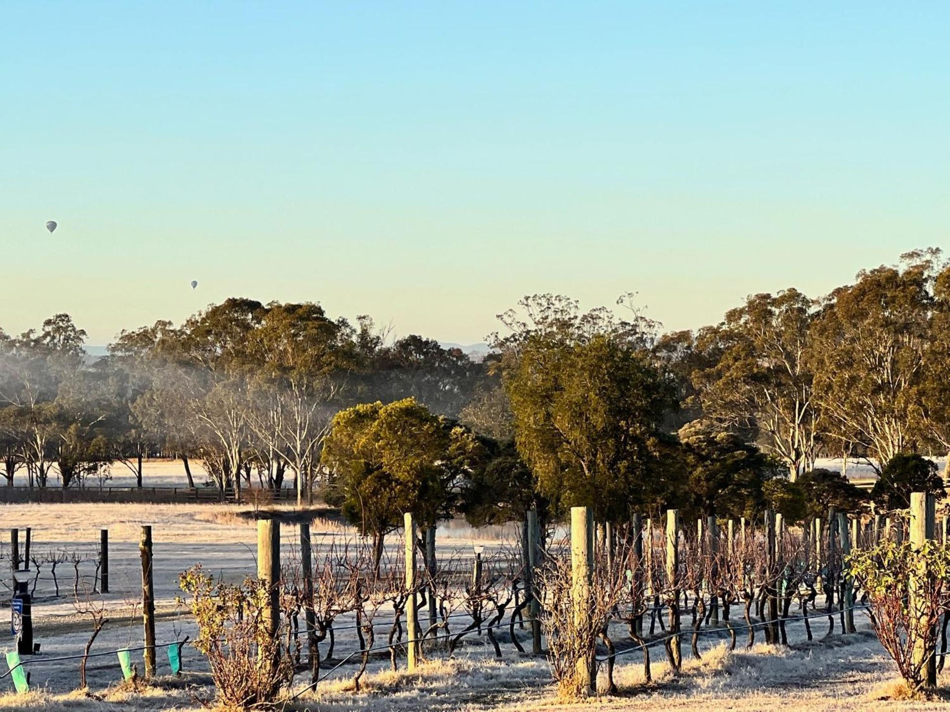 Bracken Ridge Vineyard The Entire Estate Rothbury Eksteriør billede